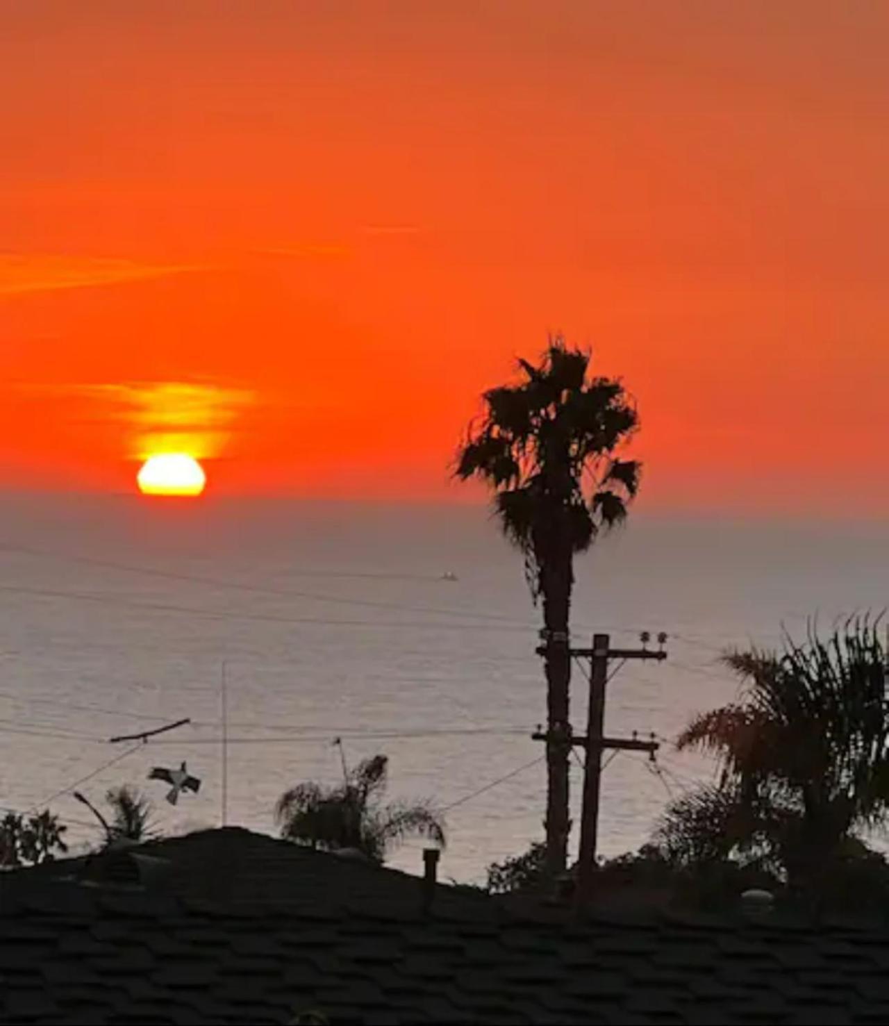 Contemporary Ocean Sunset Views With Firepit Pt Loma Close To Plnu 샌디에이고 외부 사진